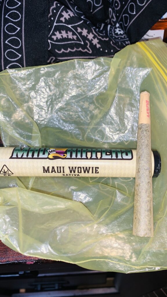 Image #1 from ℬ𝓇𝒶𝒹 ℳℴ𝓃ℯ𝓎 $