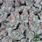 Black Cherry Funk (Value Bud) 🔥 - Image 3
