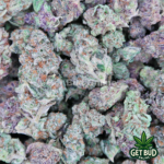 Blueberry Headband 🫐 (Premium Small Buds) 🔥