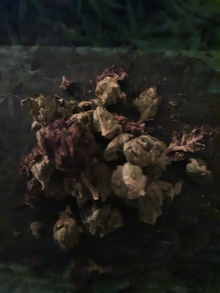 Image #1 from Jason Williams