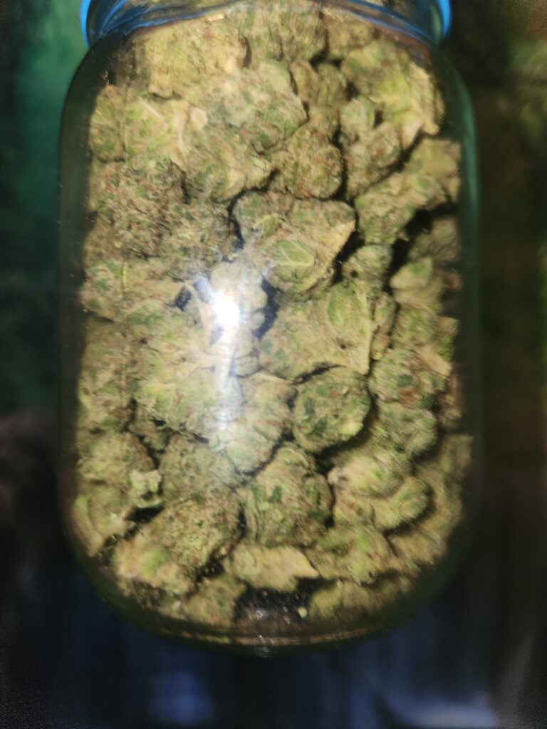Image #1 from Kelvin Graham