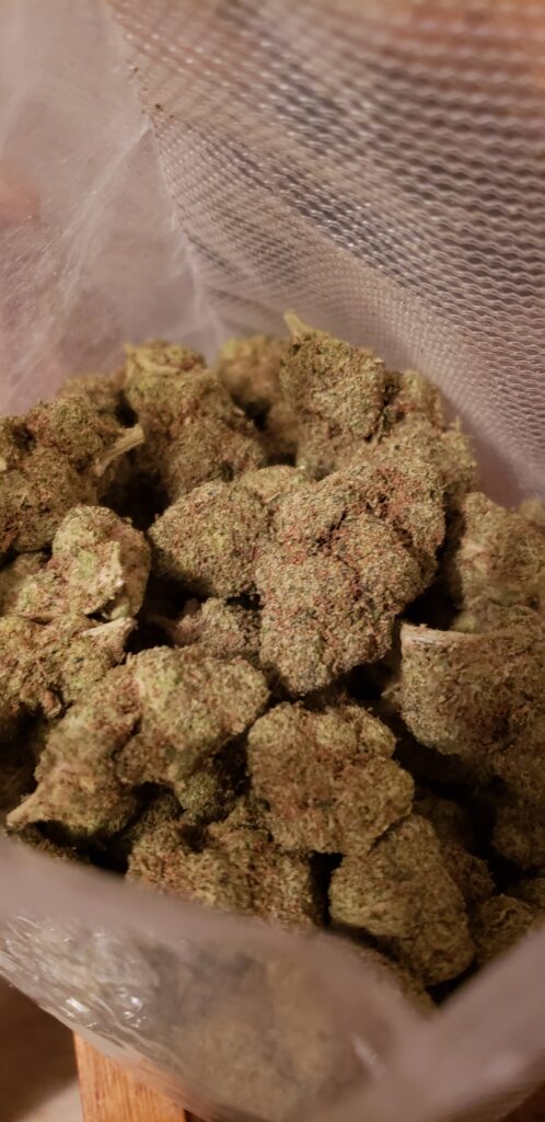 Image #1 from David Laro