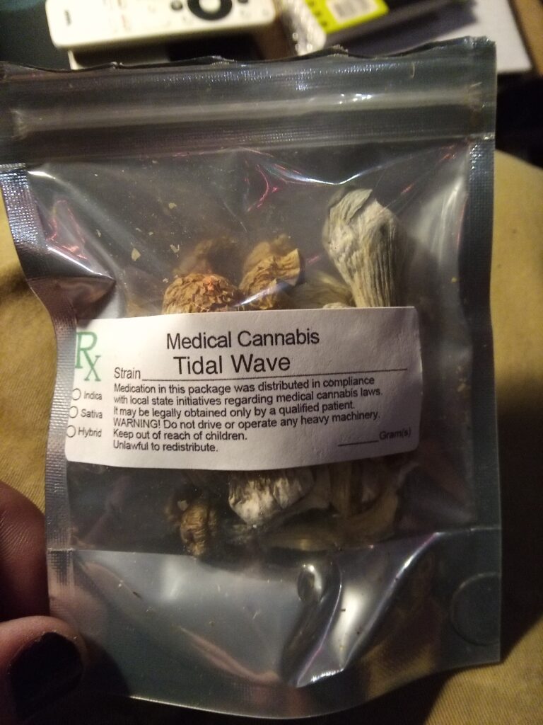 Image #1 from Jerilynn