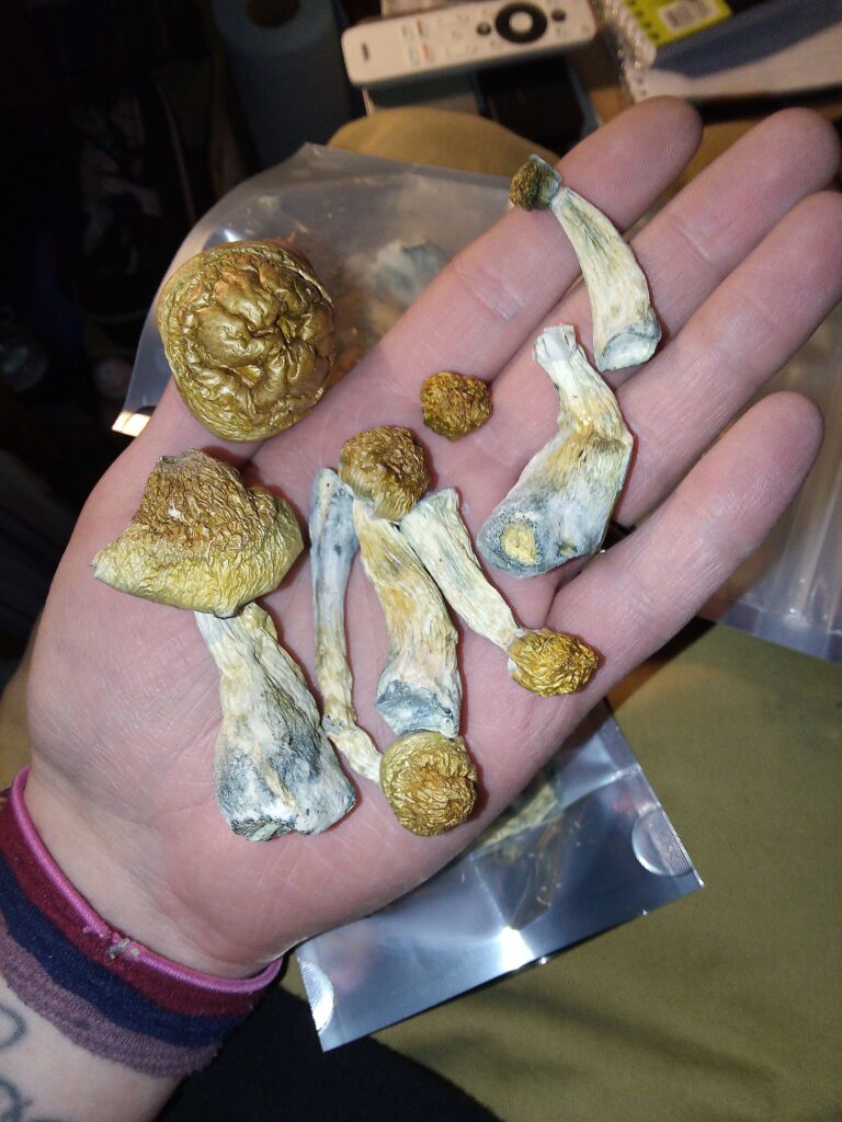 Image #2 from Jerilynn