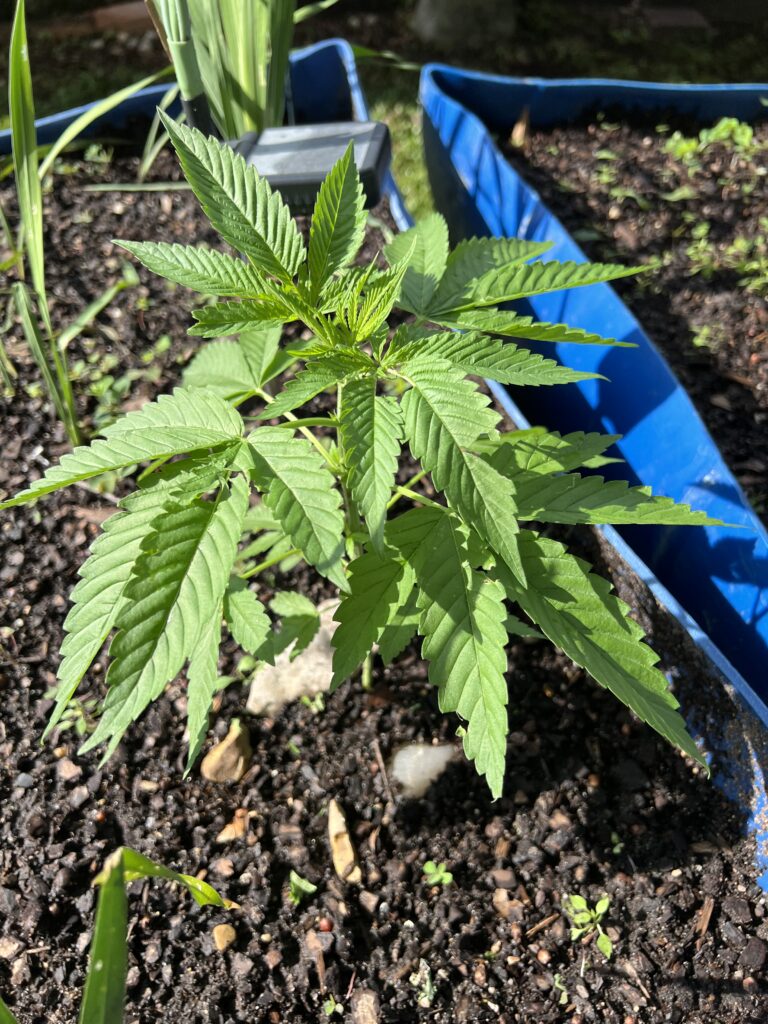 Image #2 from Kevin Dupuy