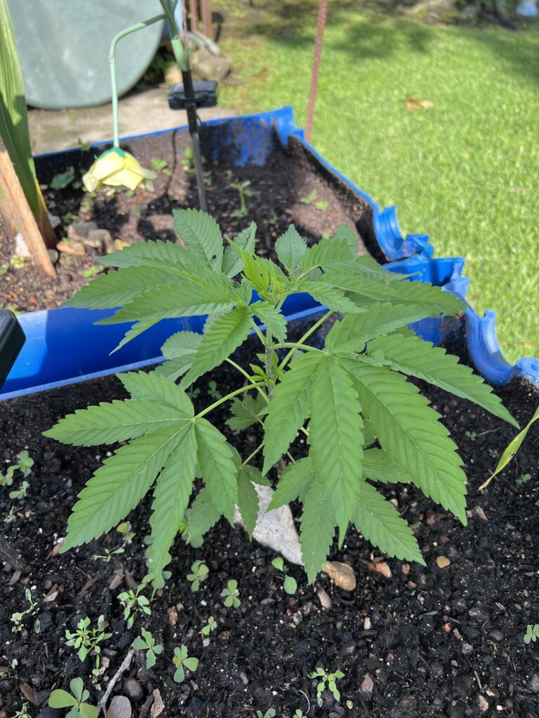 Image #1 from Kevin Dupuy