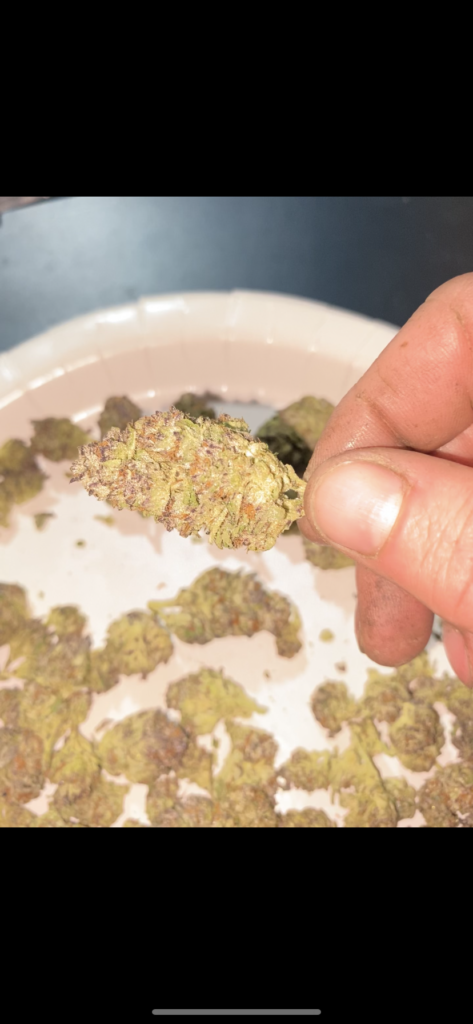 Image #1 from Joshua Everetts