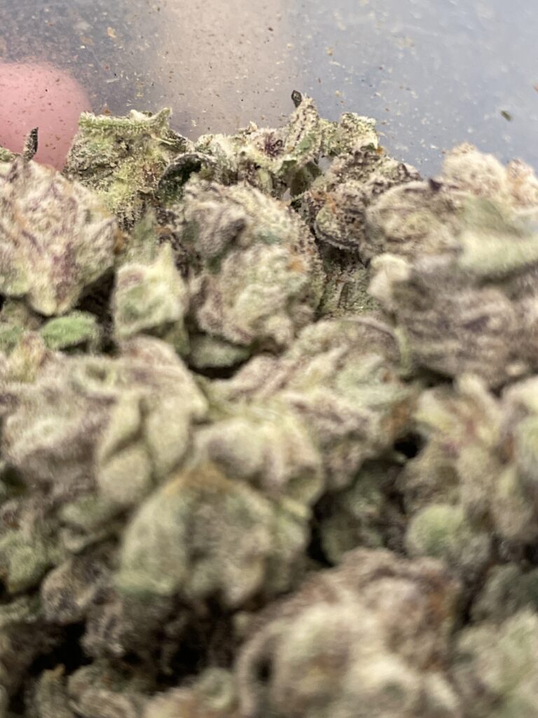 Image #1 from Russell Bertucci