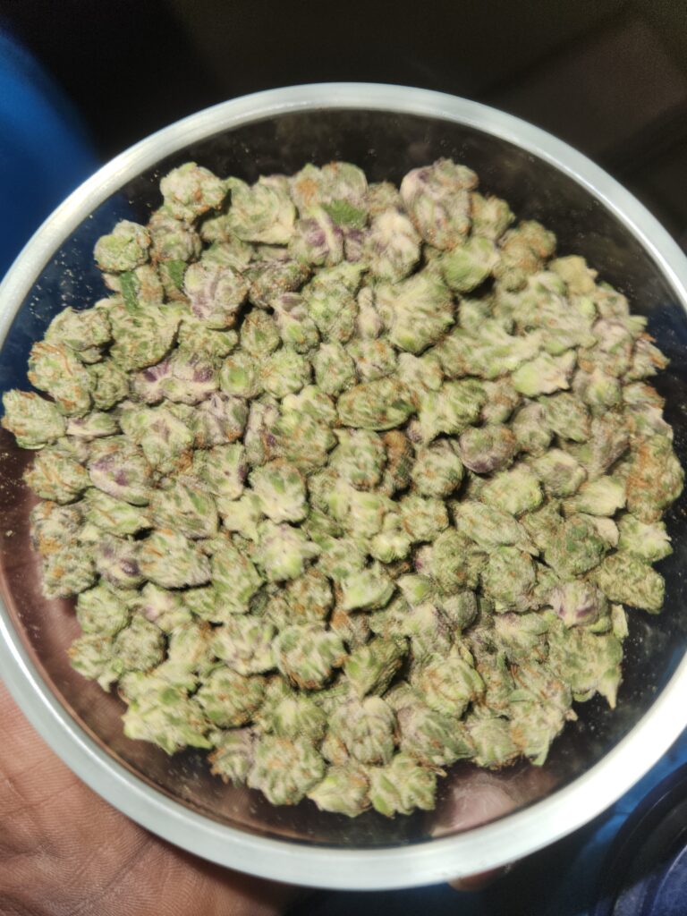 Image #2 from Kelvin Graham