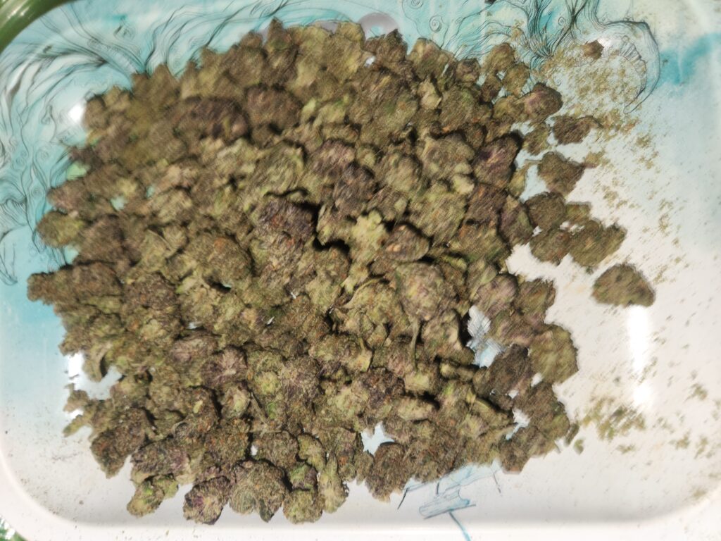 Image #1 from Kelvin Graham