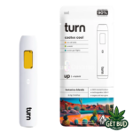 Turn Botanica Blends 🍃 2g Disposable Vape - Cactus Cool