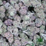Double Purple (Medium Buds) Ounce Only Deal