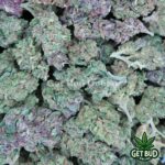 Triks (Medium Buds) Ounce Only Deal
