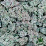 Early Frost (Medium Buds) Ounce Only Deal
