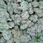 Honey Glaze (Medium Buds) Ounce Only Deal