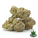 Governmint Oasis (Value Bud) - Image 2