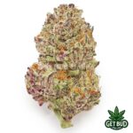 Purple Punch (Value Bud)