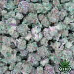 White Runtz (Small Buds)
