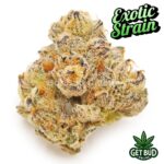 Rocket Pop (EXOTIC Private Reserve)💎🔥