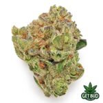 Pre-98 Bubba (Value Bud)