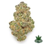 Governmint Oasis (Value Bud)