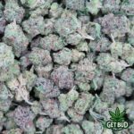 Girl Scout Cookies (Premium Small Buds) 🔥 Ounce Deal 🔥