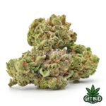 Pre-98 Bubba (Value Bud) - Image 2