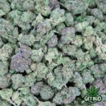 Runtz OG (Top Shelf Small Buds) Ounce Only Deal!