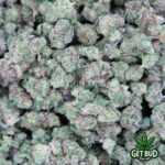 Thin Mint (Small Buds) Ounce Deal