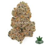 Runtz Cake 🔥 (Premium Bud)