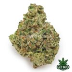 Larry Bird (Top Shelf)