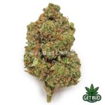 Lemon Cherry Pie (Value Bud)