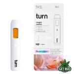 Turn Botanica Blends 🍃 2g Disposable Vape - Magic Melon