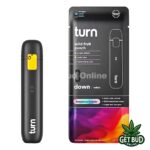 Turn Botanica Blends 🍃 2g Disposable Vape - Wild Fruit Punch