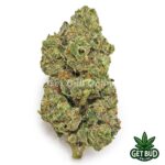 ZMO (Value Bud)
