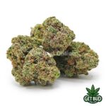 Lemon Cherry Pie (Value Bud) - Image 2