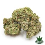 Larry Bird (Top Shelf) - Image 2