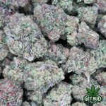 Bugatti OG (Value Bud) - Image 3