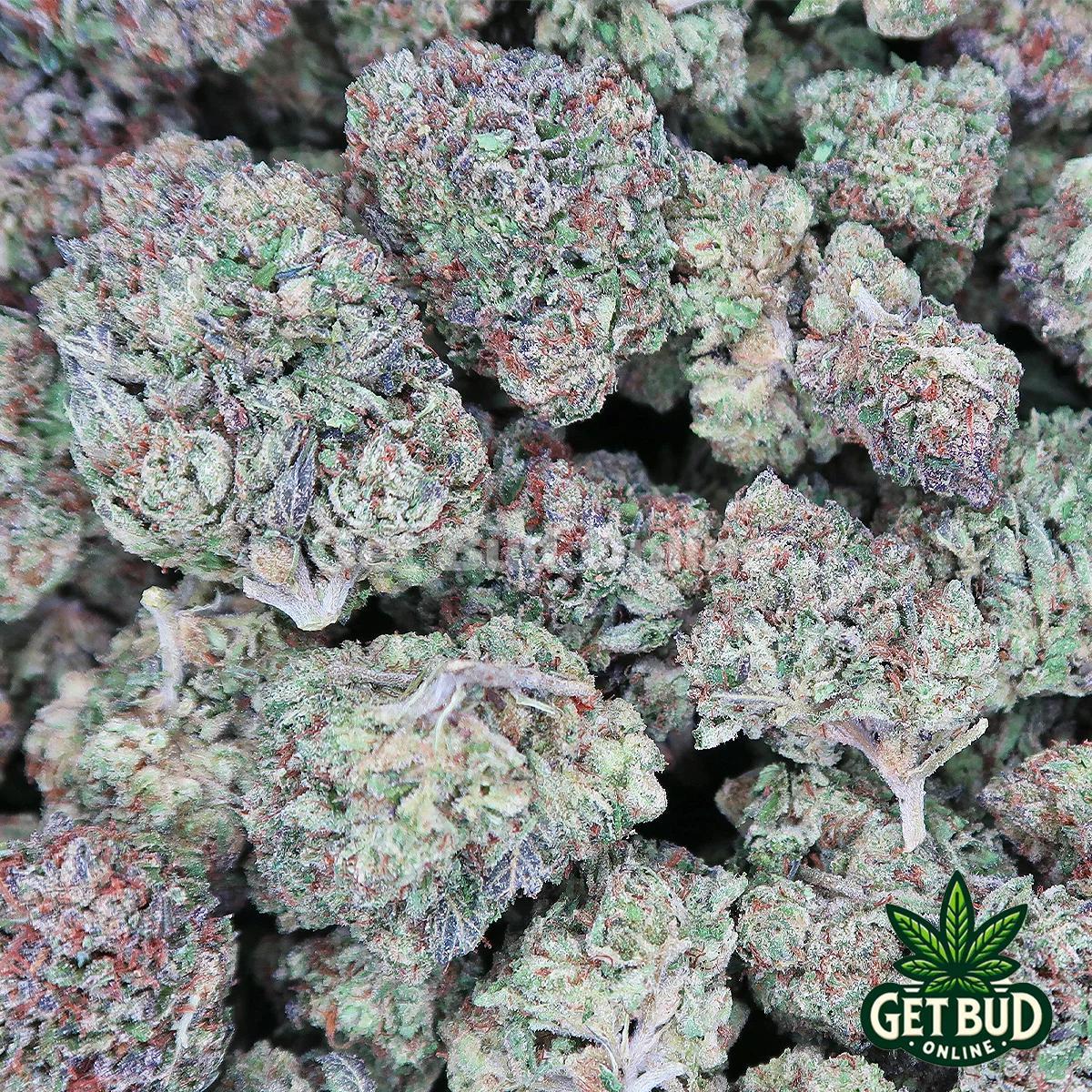 8baddc78-1f28-4768-b38b-08415e8308e3.jpeg Bugatti OG (Value Bud) - Image 3