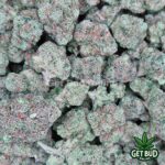 Lemon Cherry Pie (Value Bud) - Image 3