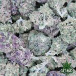 Bubble Tricks (Medium Buds) Ounce Only Deal