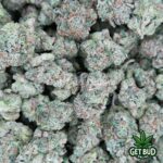 Larry Bird (Top Shelf) - Image 3