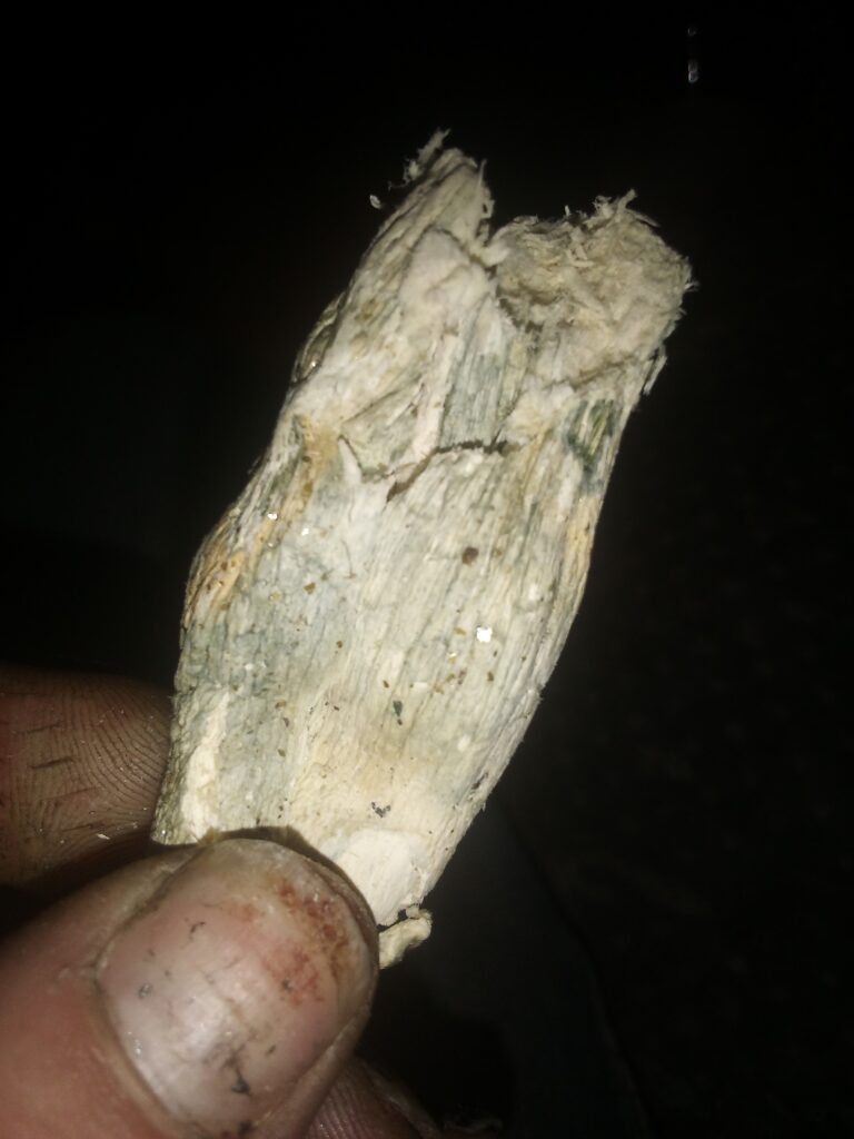 Image #1 from Jonathan Sutton