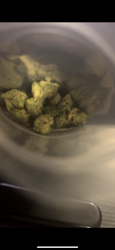 Image #1 from LionnBudd444