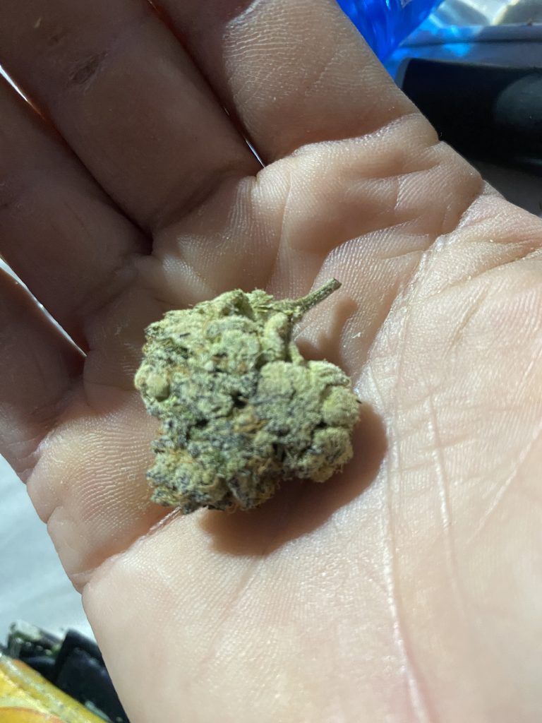 Image #1 from Joshua