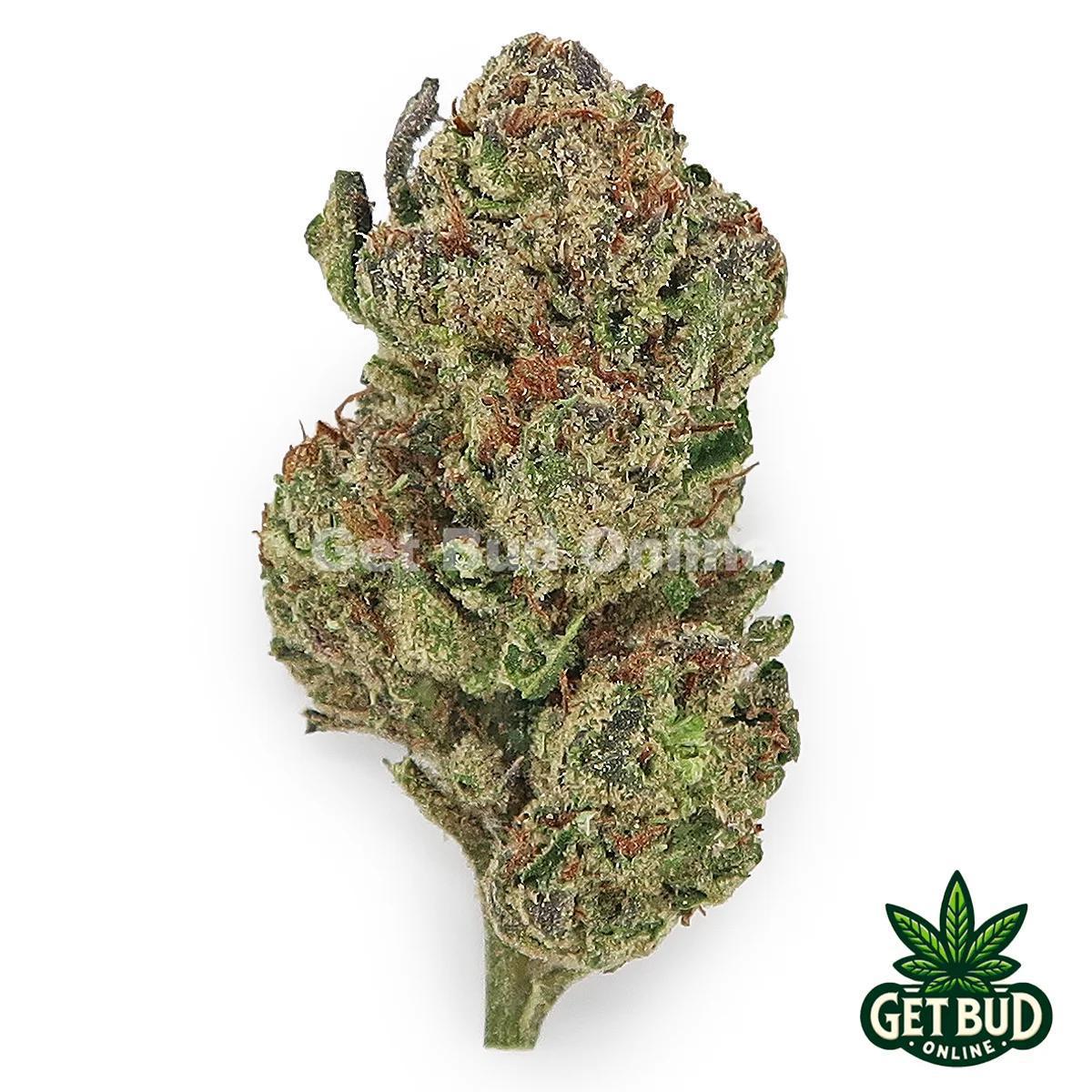 Highlighter (Value Bud)