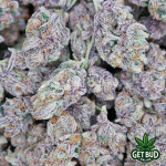 Blue Gotti 🔷🔥 (EXOTIC Private Reserve)💎🔥 - Image 5