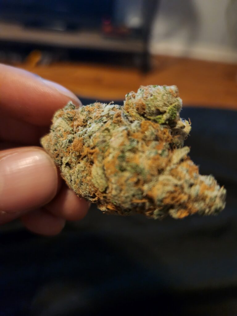 Image #1 from James Haynes