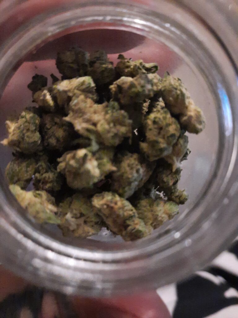 Image #1 from Jason Williams