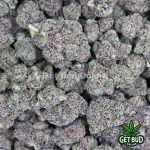 Lemon Cherry Gelato #7 🔥 (Premium Bud) - Image 3